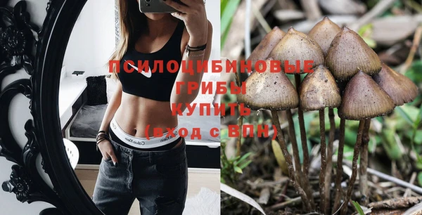 амф Алзамай